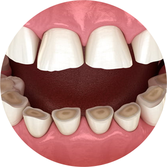 Night Grinders Image